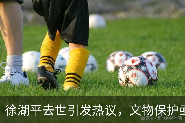 徐湖平去世引发热议，文物保护亟需反思